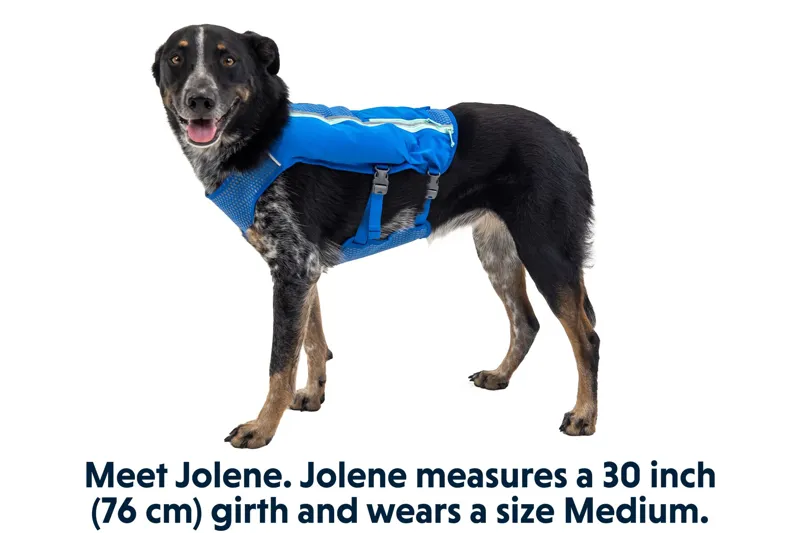 Ruffwear Trail Runner Dog Running Vest Blue Pool-10